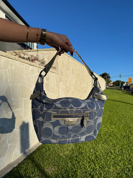 Coach Penelope Shantung Signature Hobo Bag